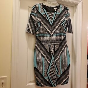 Bisou Bisou Bodycon Dress